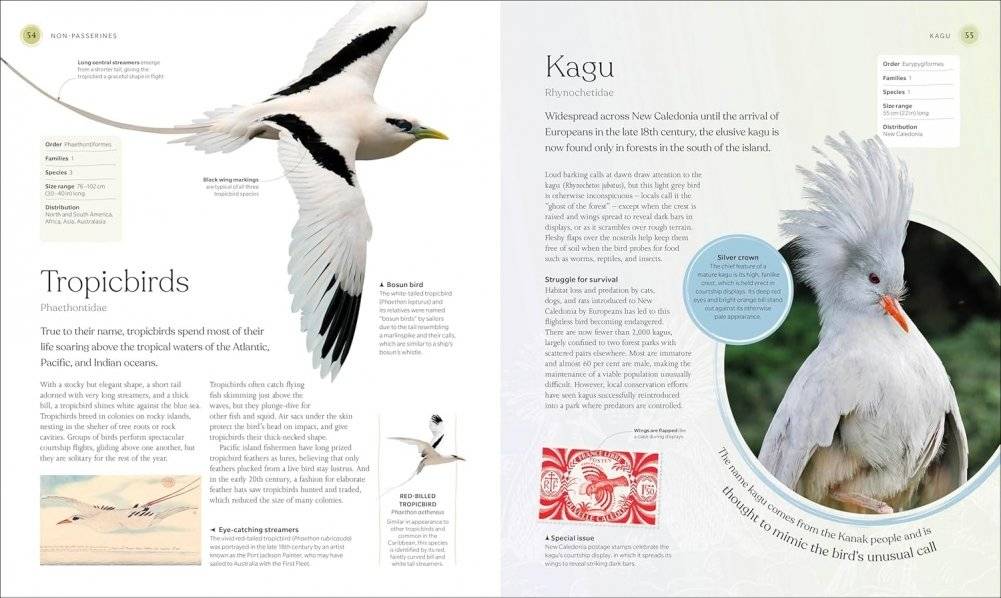 The Bird Book фото книги 3