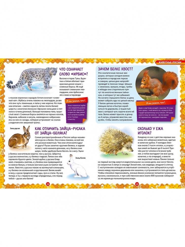 Лучшая энциклопедия для детей. Ответы на вопросы маленького почемучки фото книги 4
