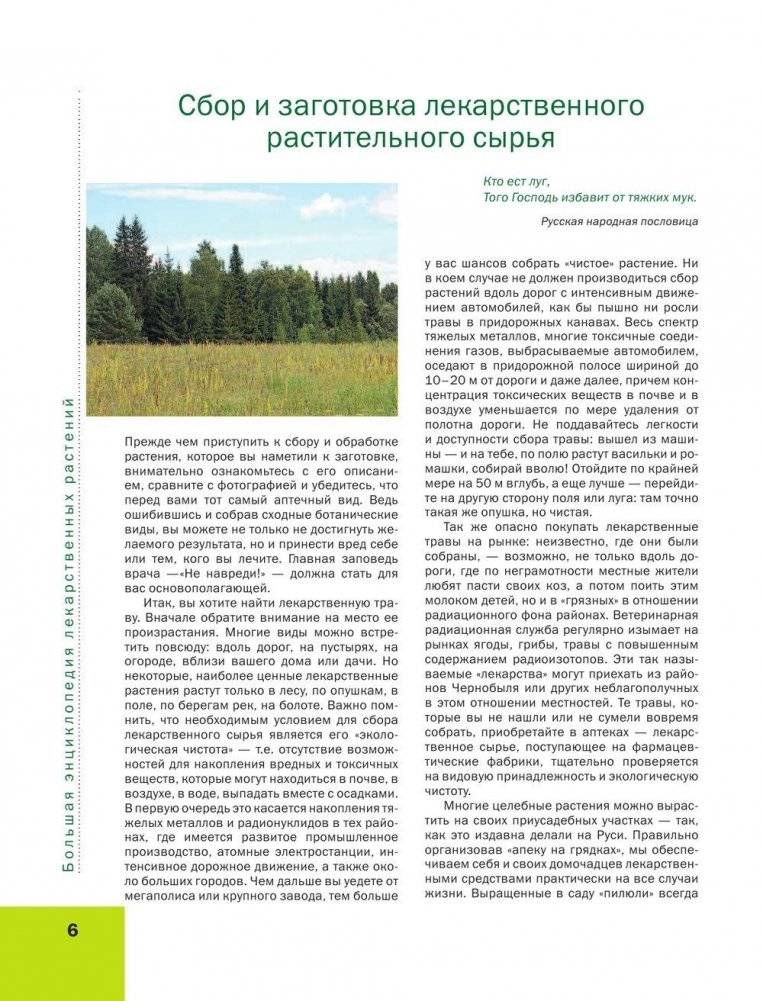 Лекарственные растения. Большая иллюстрированная энциклопедия фото книги 7