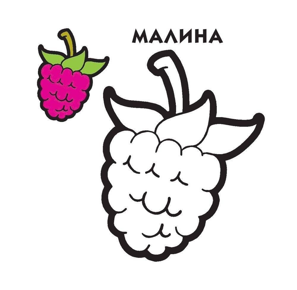 Раскраска фото книги 3