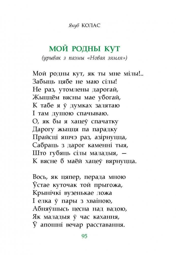 Дзе Нёман гамоніць з пушчай... фото книги 5