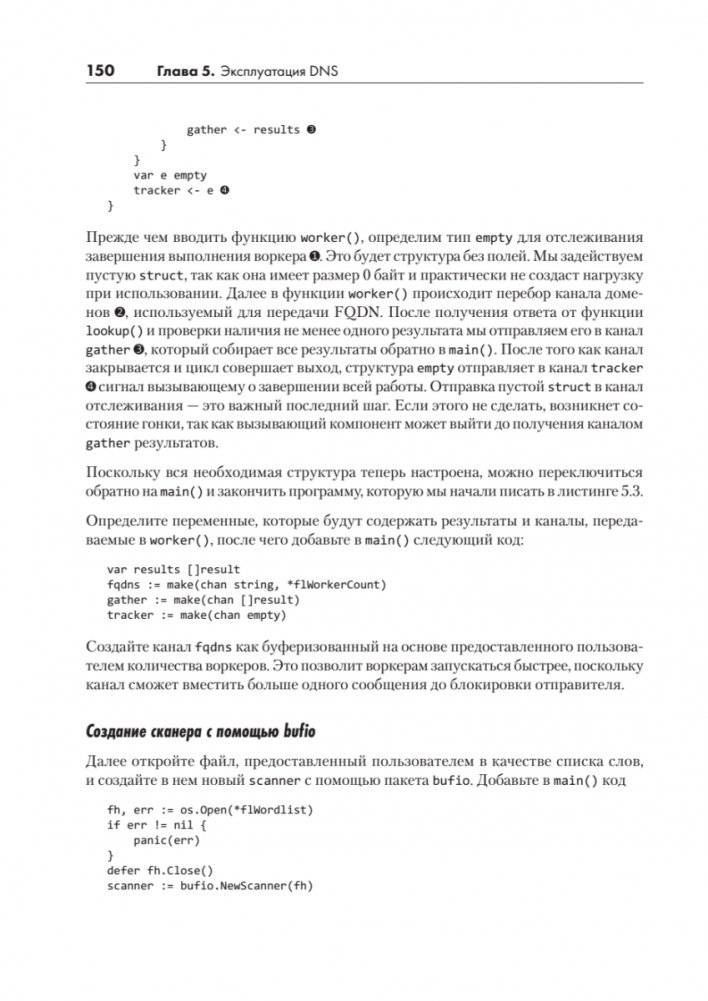 Black Hat Go: Программирование для хакеров и пентестеров фото книги 19