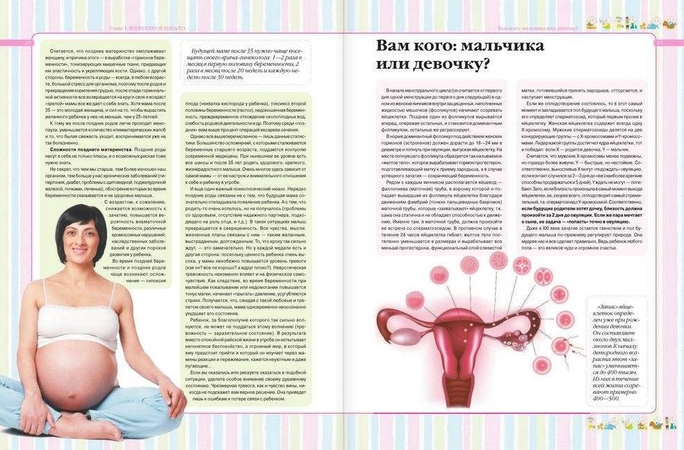 Я - скоро мама фото книги 7