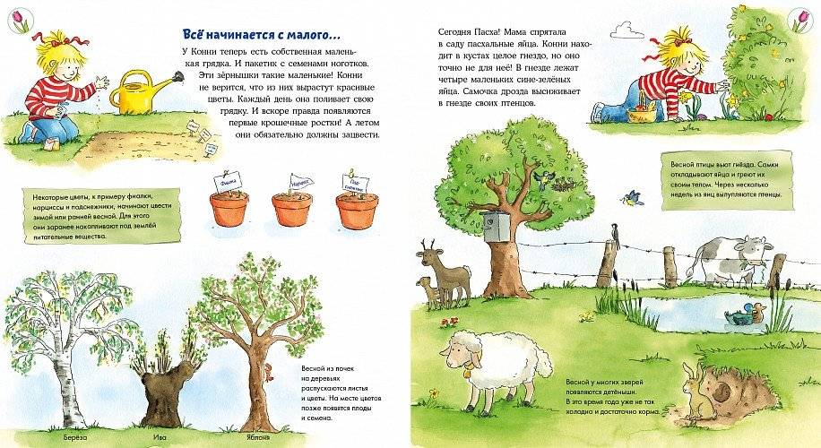 Времена года с Конни фото книги 4