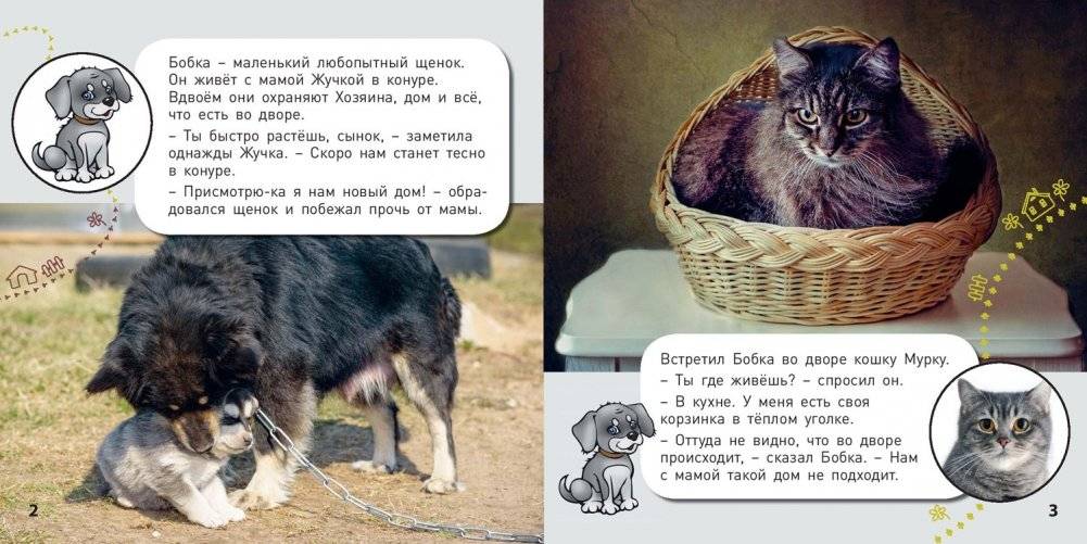 Кто где живёт? фото книги 2