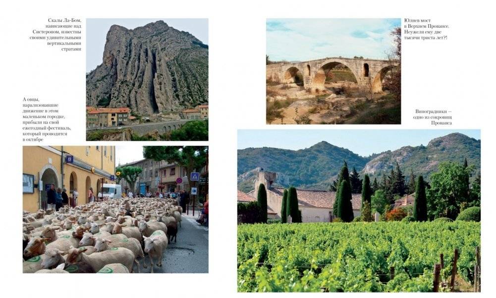 Прованс от A до Z фото книги 5