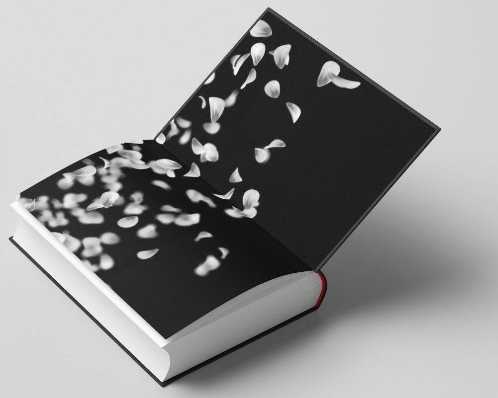 Невинная вишня фото книги 4