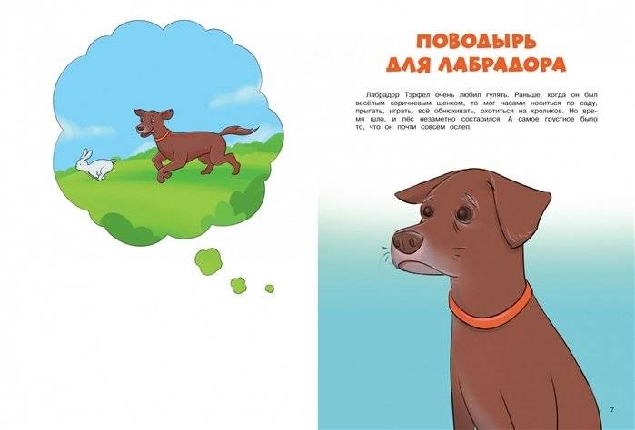 Невероятные истории об удивительных животных фото книги 3