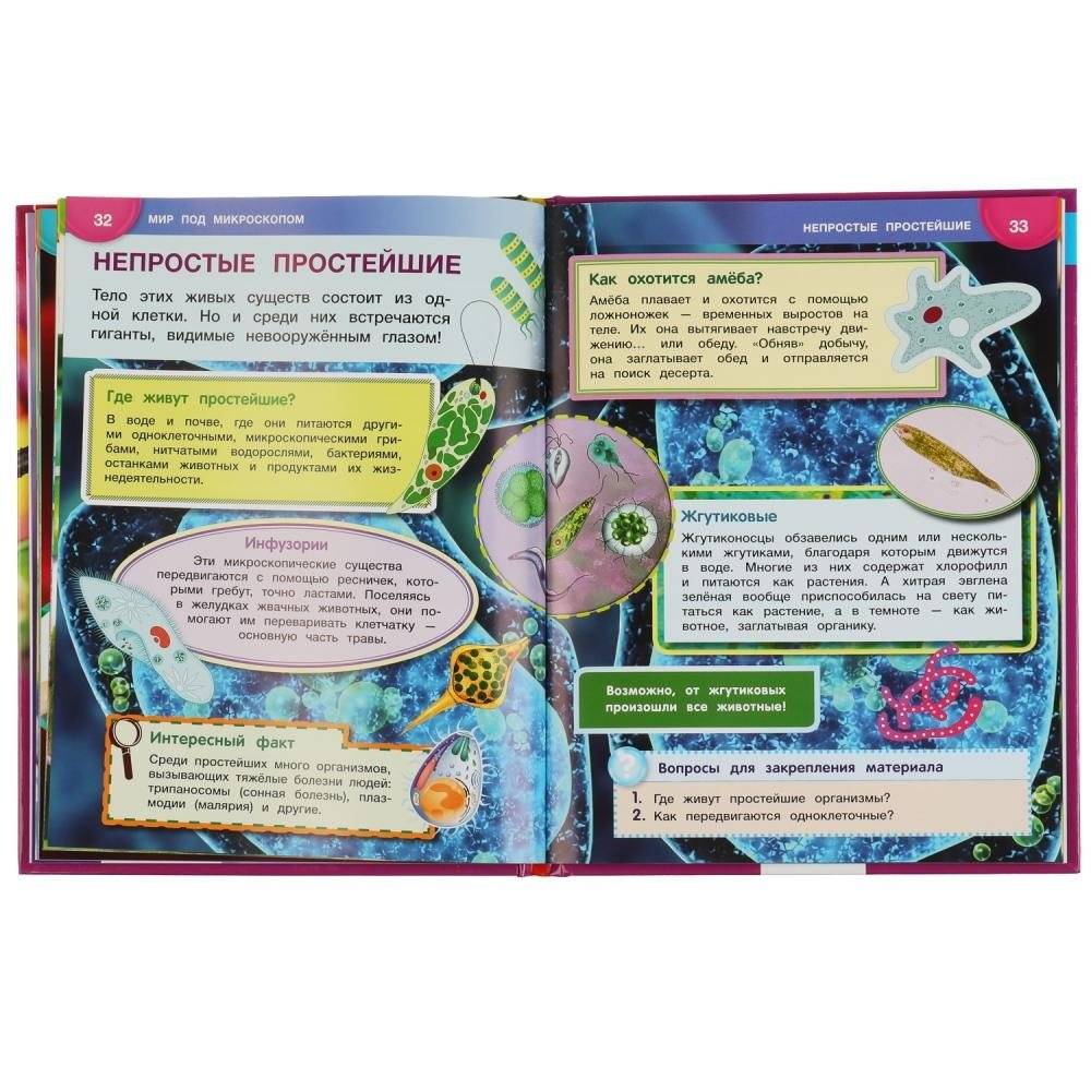 Энциклопедия с развивающими заданиями "Мир под микроскопом", 48 страниц фото книги 5