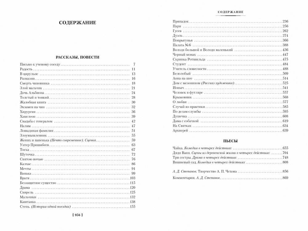 Человек в футляре. Избранное фото книги 2