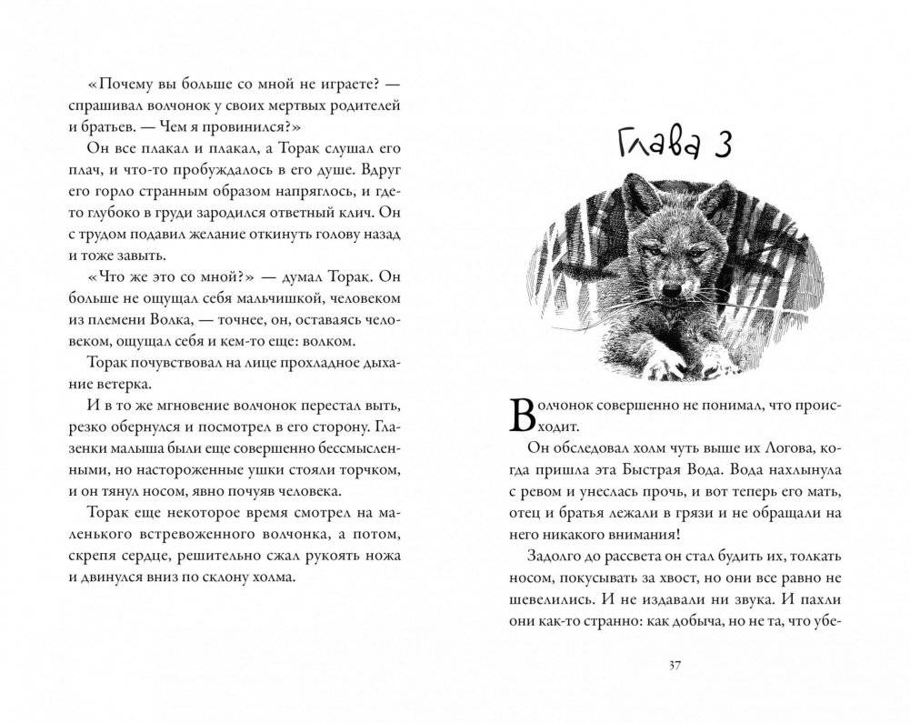 Хроники темных времен. Книга 1. Брат мой Волк фото книги 3