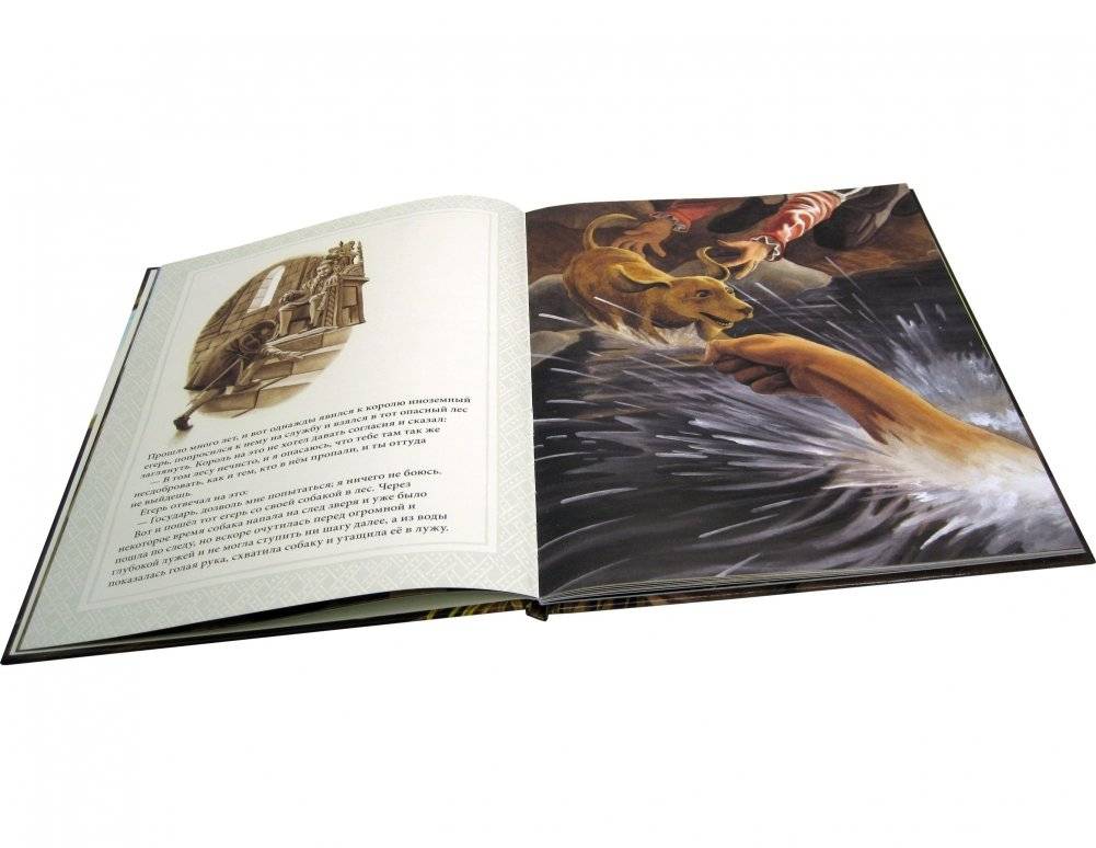 Железный Ганс фото книги 5