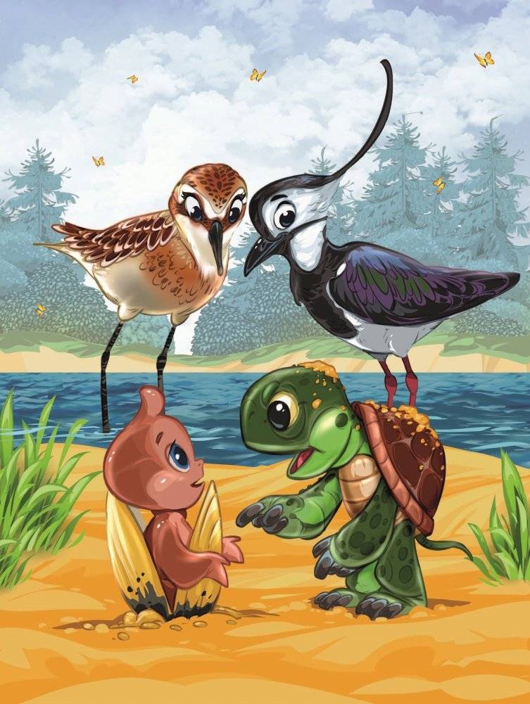 Мистер Ракушка фото книги 5