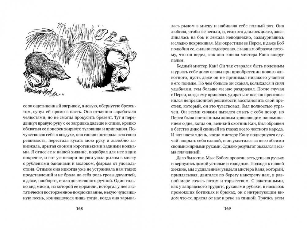 Три билета до Эдвенчер. Под пологом пьяного леса фото книги 7