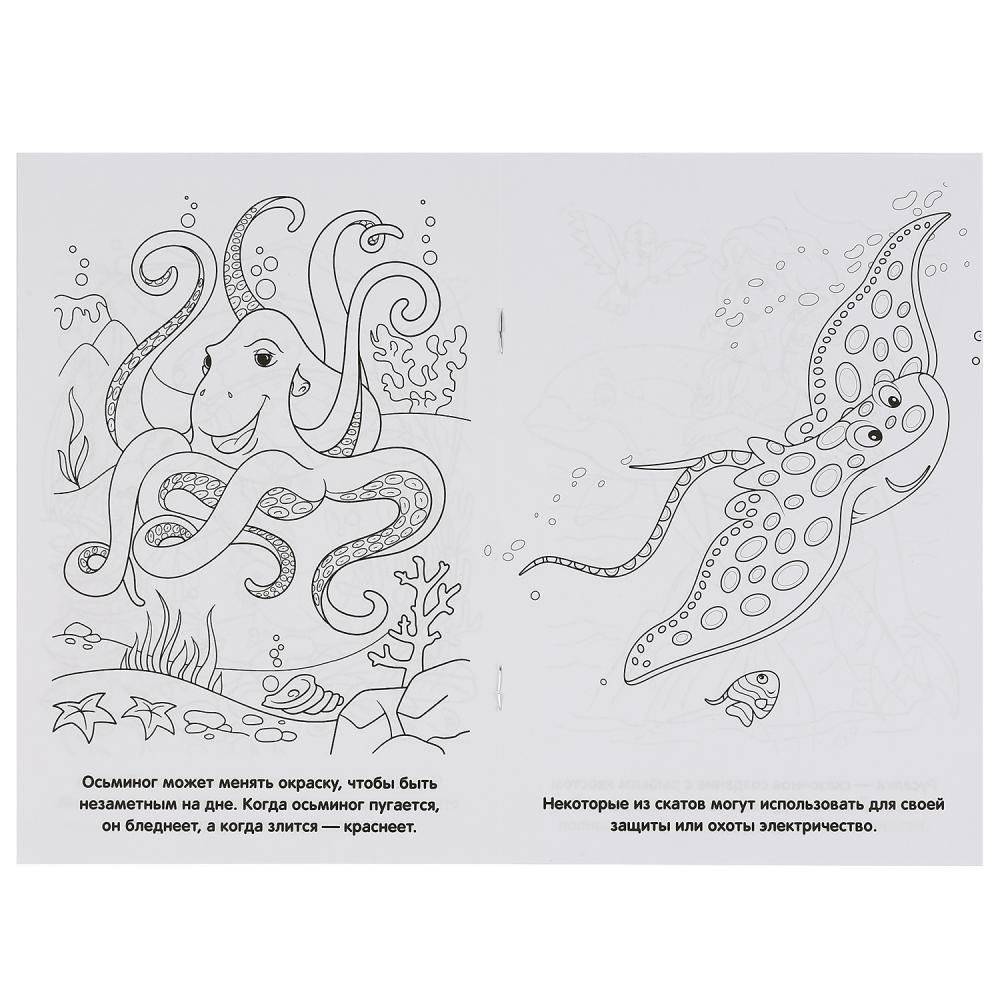Обитатели морей фото книги 2
