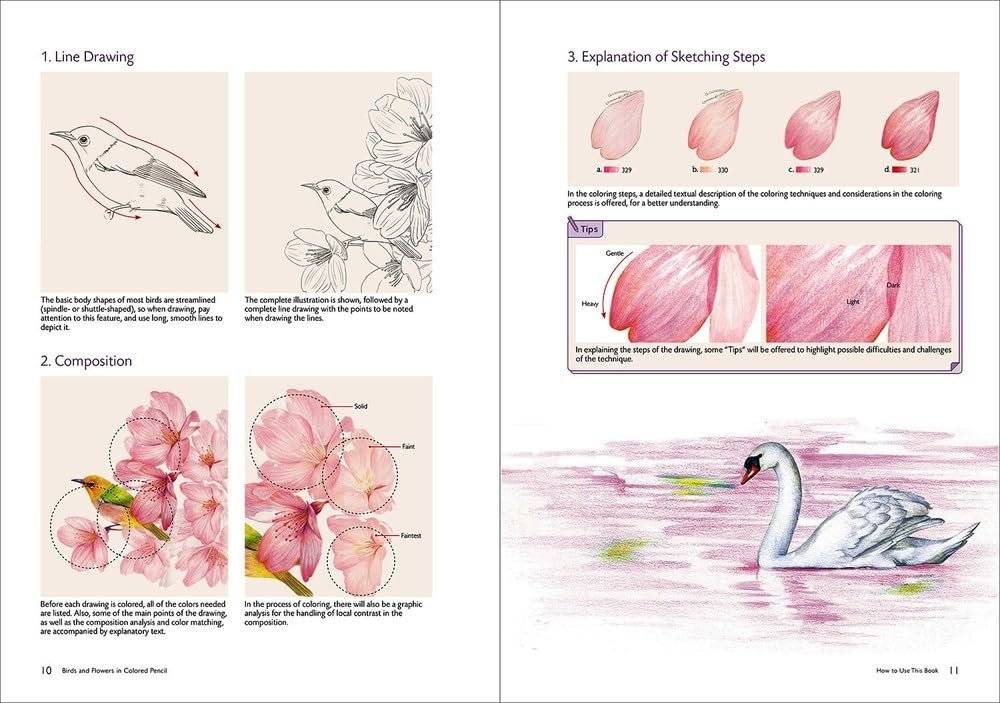 Birds and Flowers in Colored Pencil: Step-by-Step Tutorials and Techniques фото книги 4