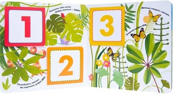 Книжки с загадками и сюрпризами. Разноцветный счет фото книги 2