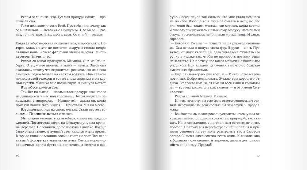 Свора девчонок фото книги 6