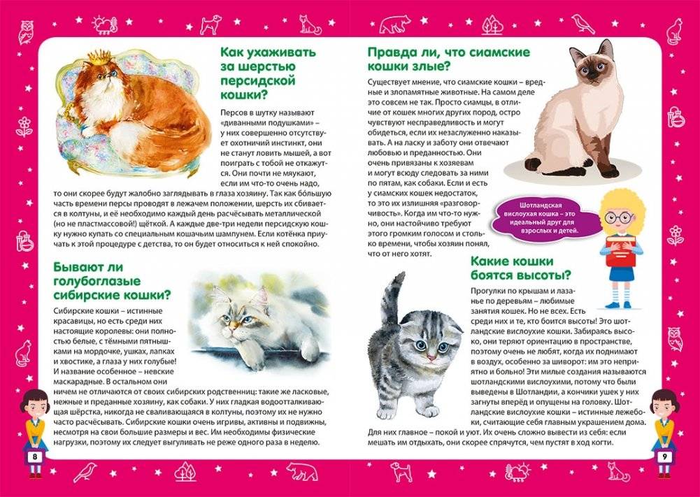 Детская энциклопедия в вопросах и ответах. Лучший подарок для девочки фото книги 2