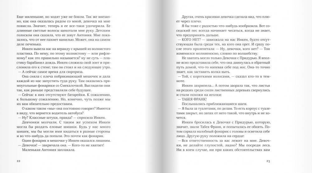 Свора девчонок фото книги 8