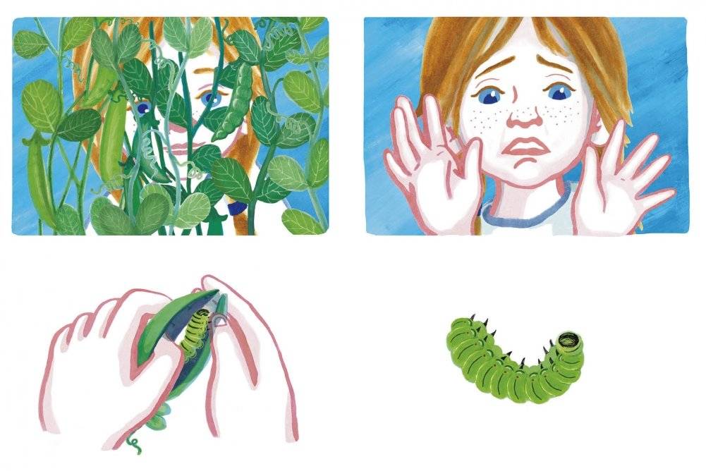 Кузнечик фото книги 4