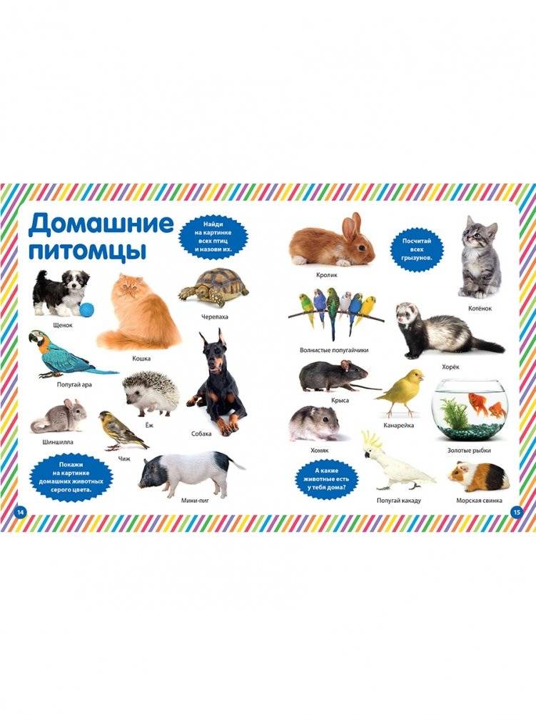 Обо всем на свете. Фотокнига для малышей фото книги 3