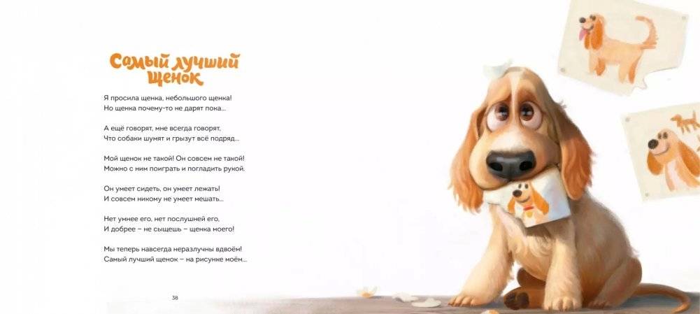 Зашла к нам в гости уточка фото книги 5