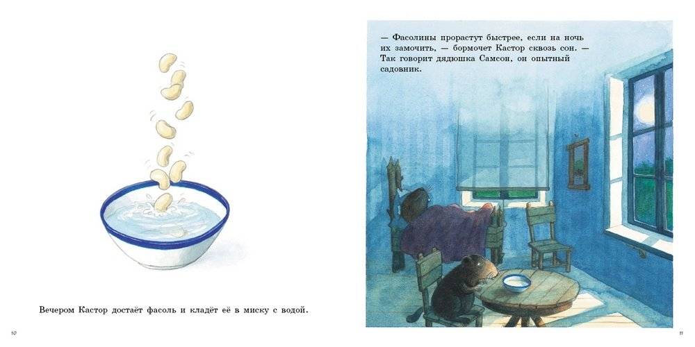 Огород Кастора фото книги 3