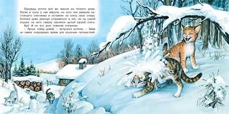 Приключения котенка фото книги 2