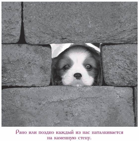 Капелька храбрости. Как достойно встречать трудности жизни фото книги 5