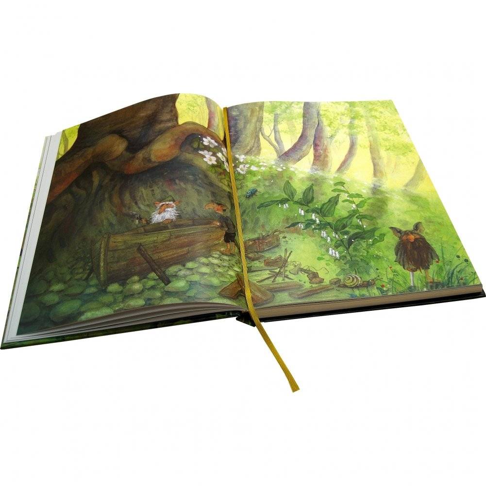 Вверх по Причуди и обратно. Удивительные приключения трех гномов фото книги 3