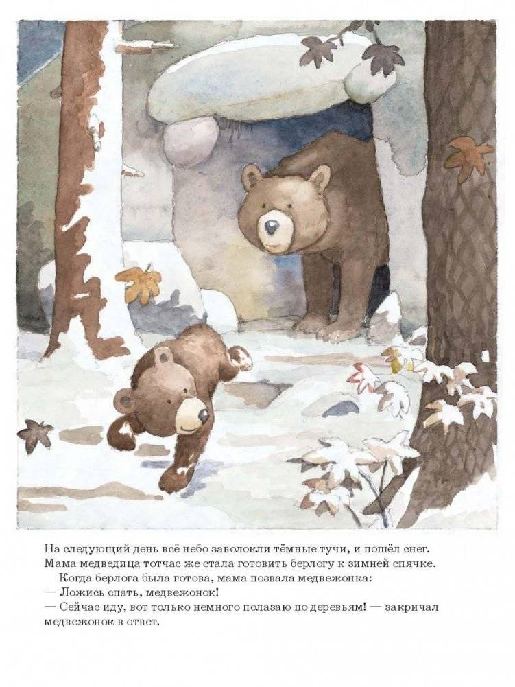 Ложись спать, медвежонок! фото книги 5