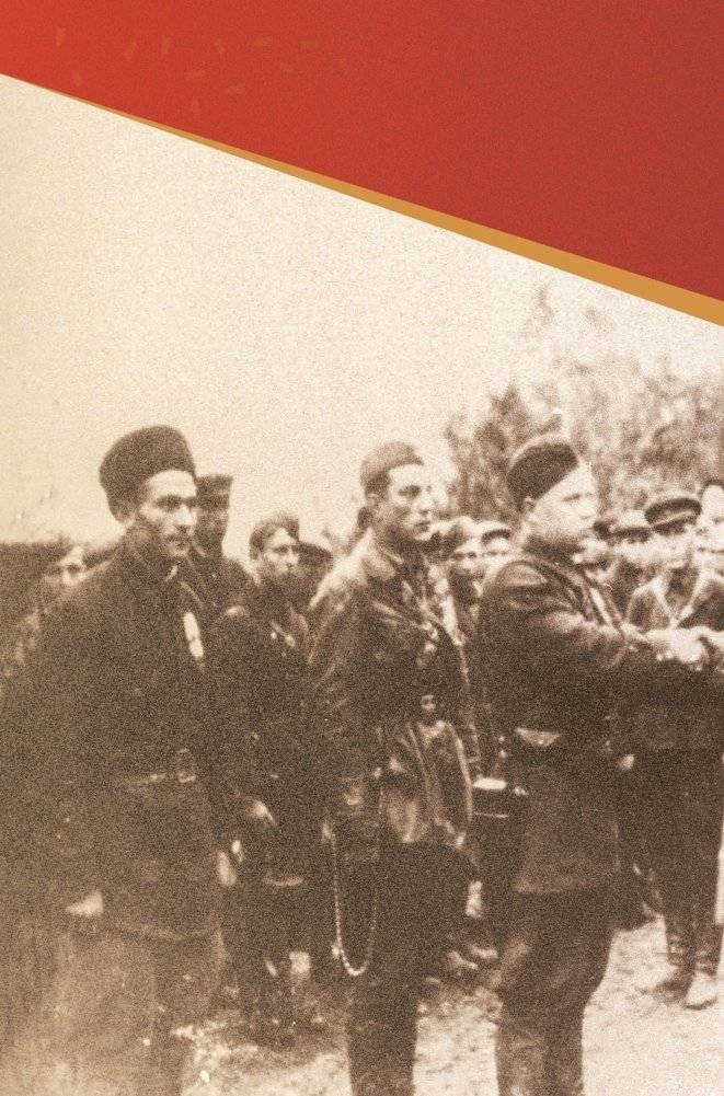 Партизанские парады и праздники на территории Беларуси в годы Великой Отечественной войны фото книги 3