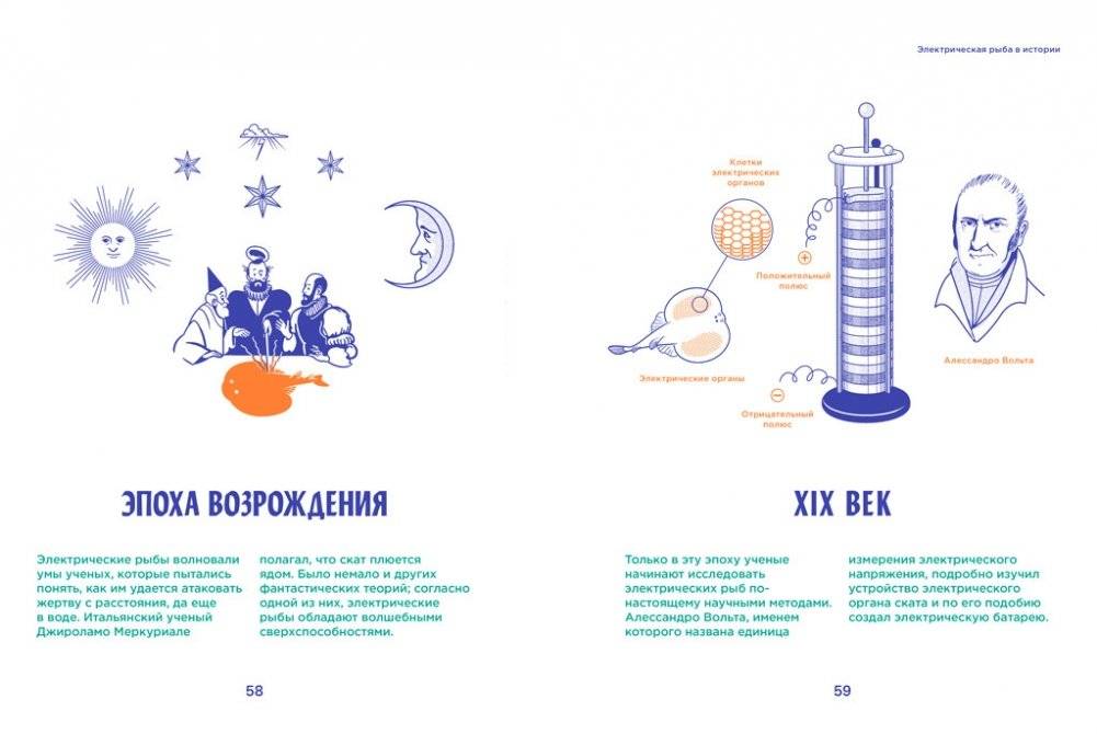 Электрические рыбы фото книги 4