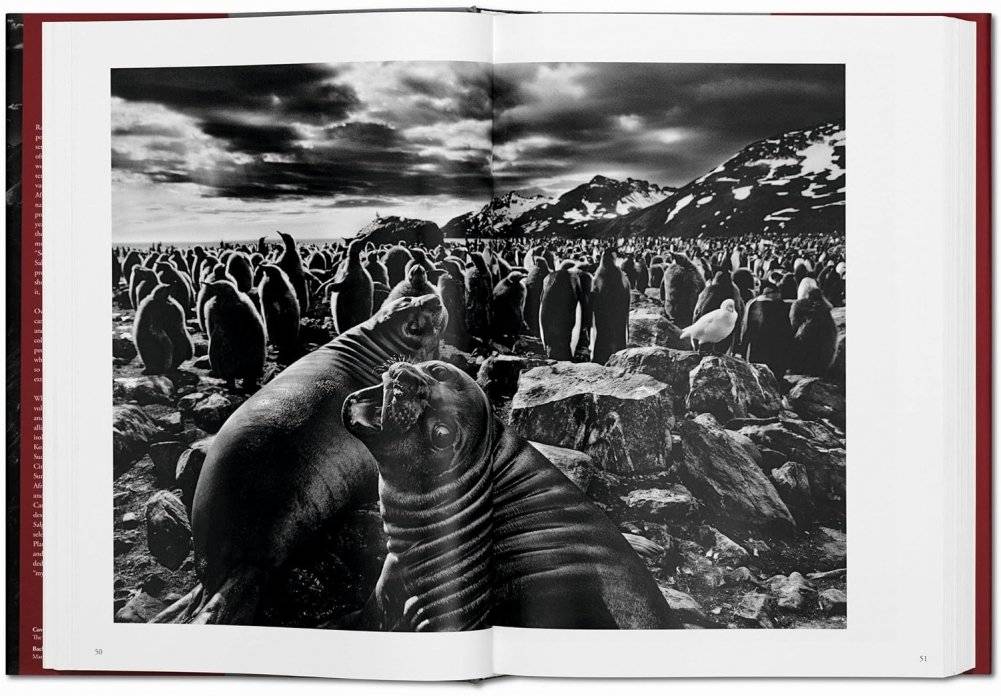 Sebastiao Salgado. Genesis фото книги 5