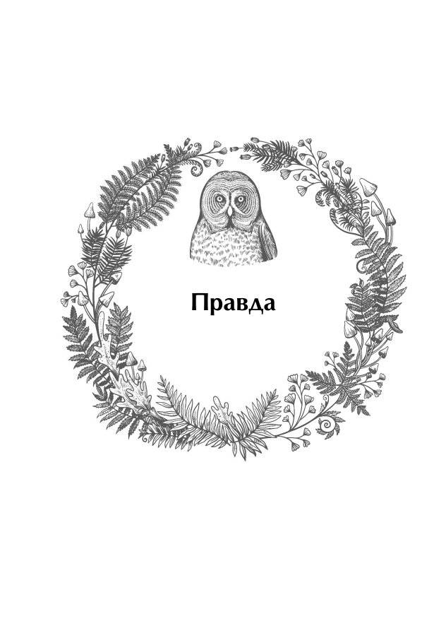 Ответы мудрой совы фото книги 4