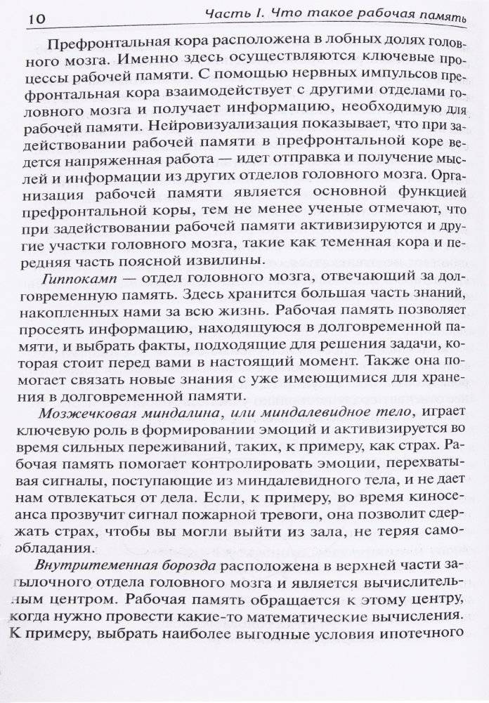 Включите свою рабочую память на полную мощь фото книги 6