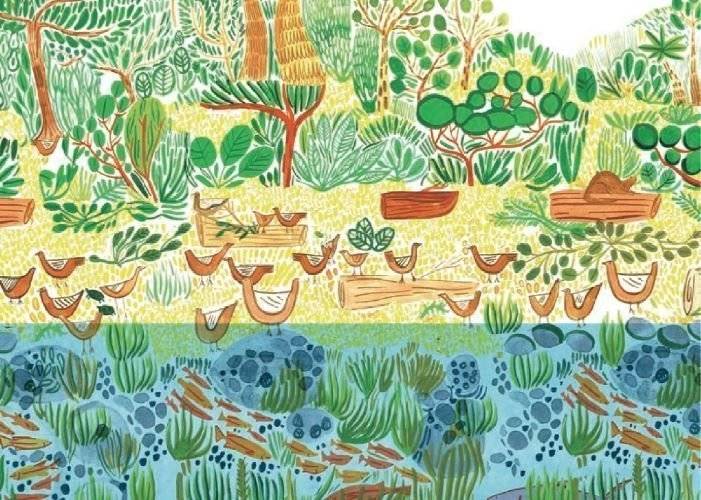 На грани исчезновения фото книги 5