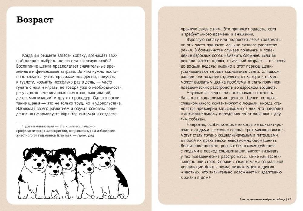 Хвалить! Кормить! Любить! Обаятельное пособие по воспитанию счастливой собаки фото книги 5