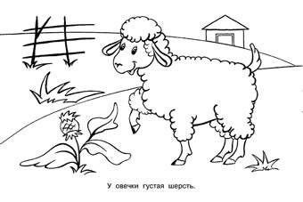 Животные фото книги 2