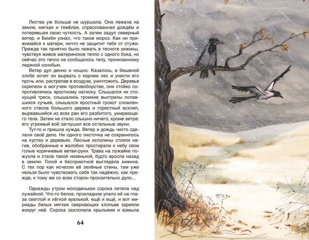 Бемби фото книги 2