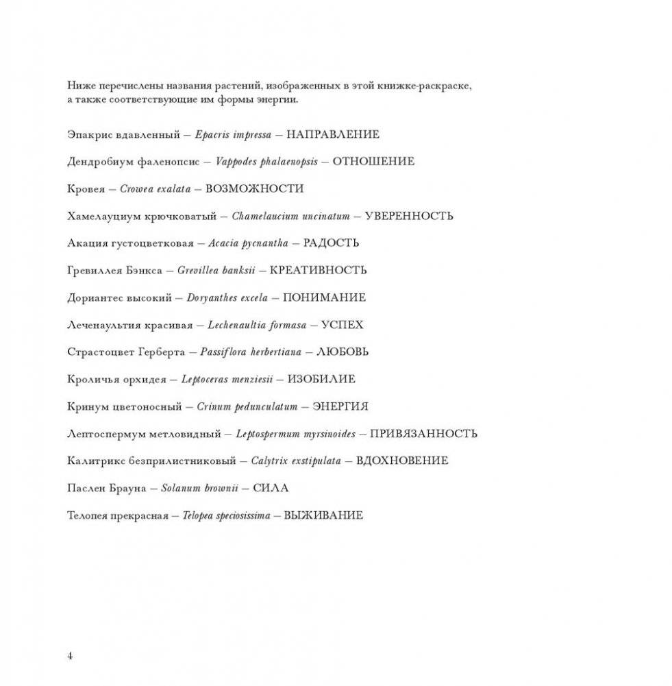 Флоросфера. Вдохновение фото книги 21