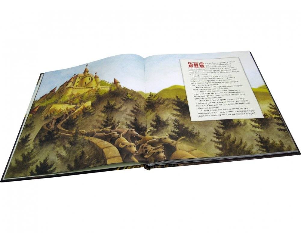 Железный Ганс фото книги 6