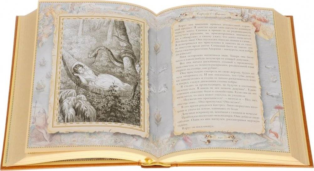 Стрелки в Мексике. Подарочное издание фото книги 2