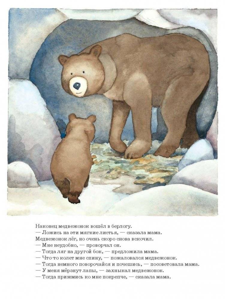 Ложись спать, медвежонок! фото книги 9