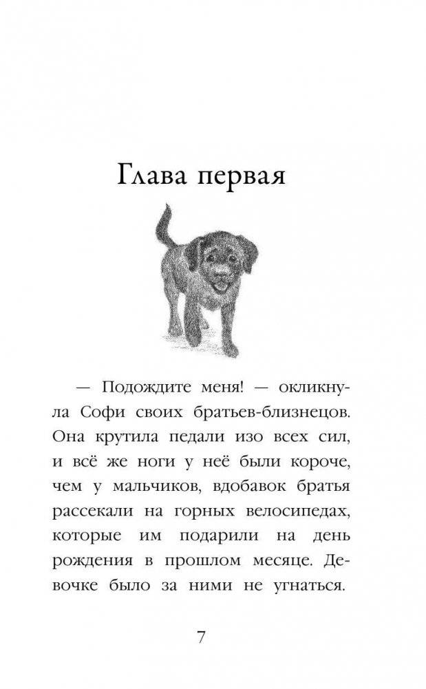 Щенок Кнопочка, или Умная малышка фото книги 7
