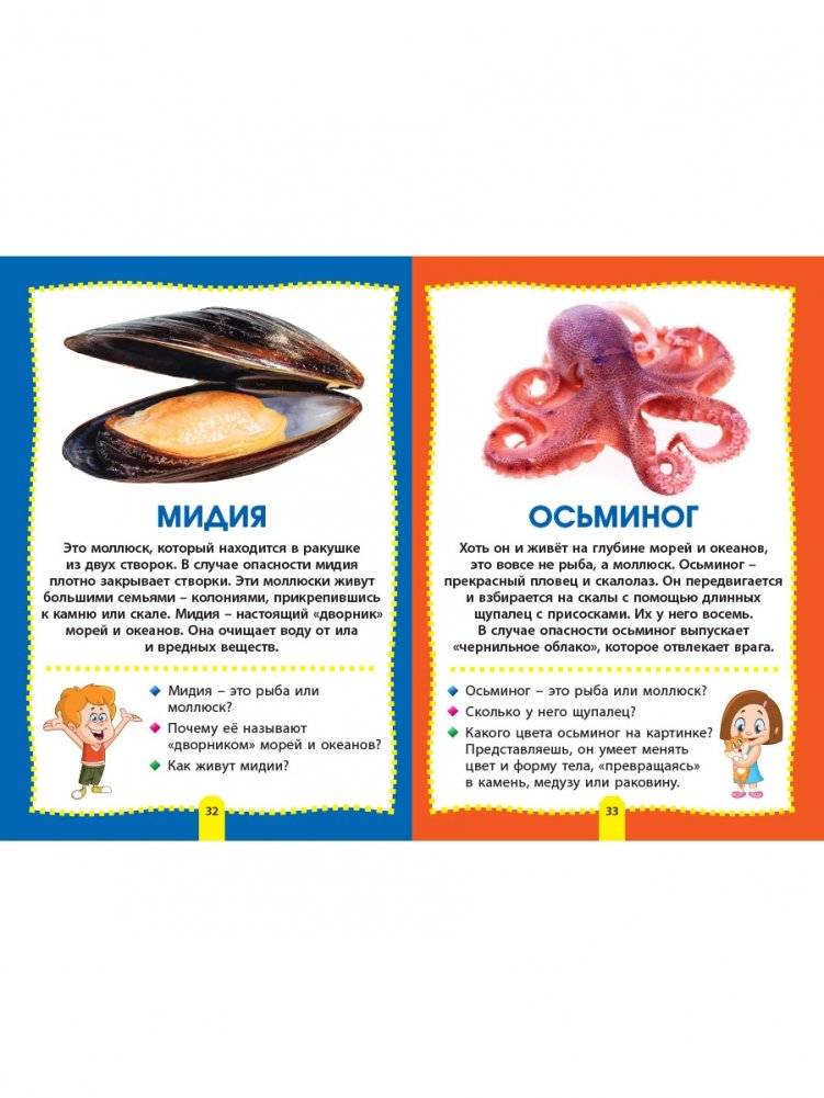 Морские обитатели. Фотокнига для самых маленьких фото книги 8
