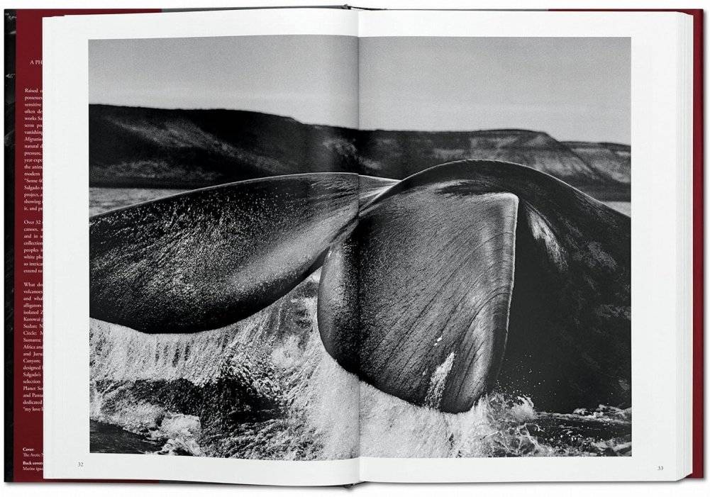 Sebastiao Salgado. Genesis фото книги 4
