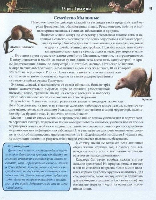 Энциклопедия. Животные России фото книги 4