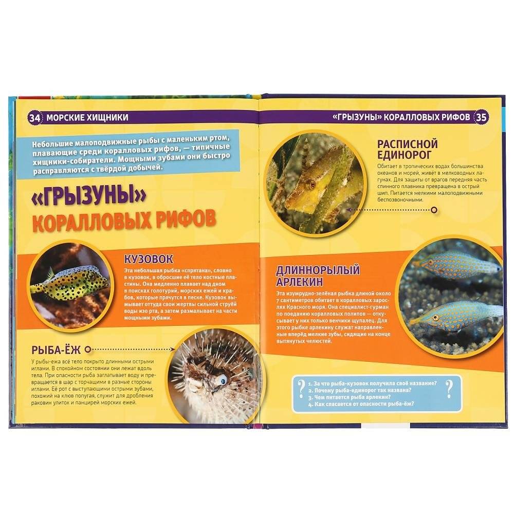 Энциклопедия. Морские хищники фото книги 5